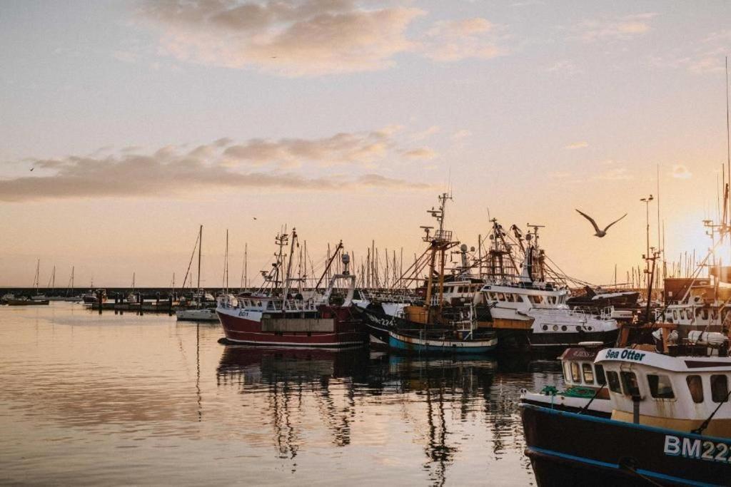 Limpet Holiday home Brixham